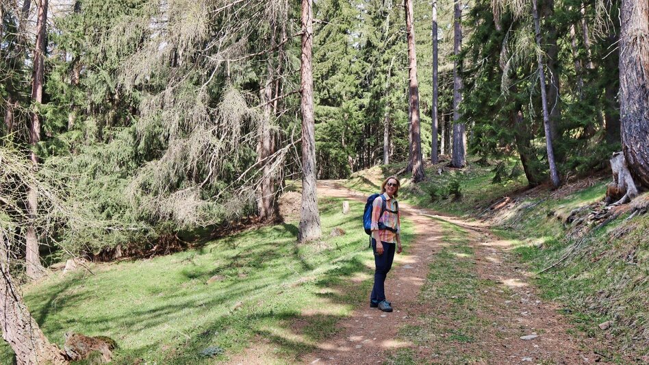 Hiking Route Habring via Nußmoaralm - Touren-Impression #2.8 | © Weges OG