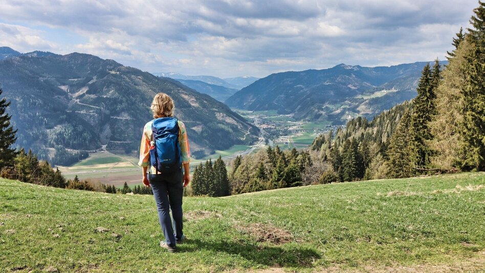 Hiking Route Habring via Nußmoaralm - Touren-Impression #2.9 | © Weges OG