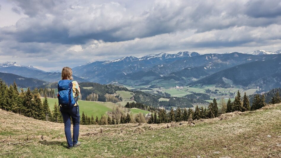 Hiking Route Habring via Nußmoaralm - Touren-Impression #2.11 | © Weges OG