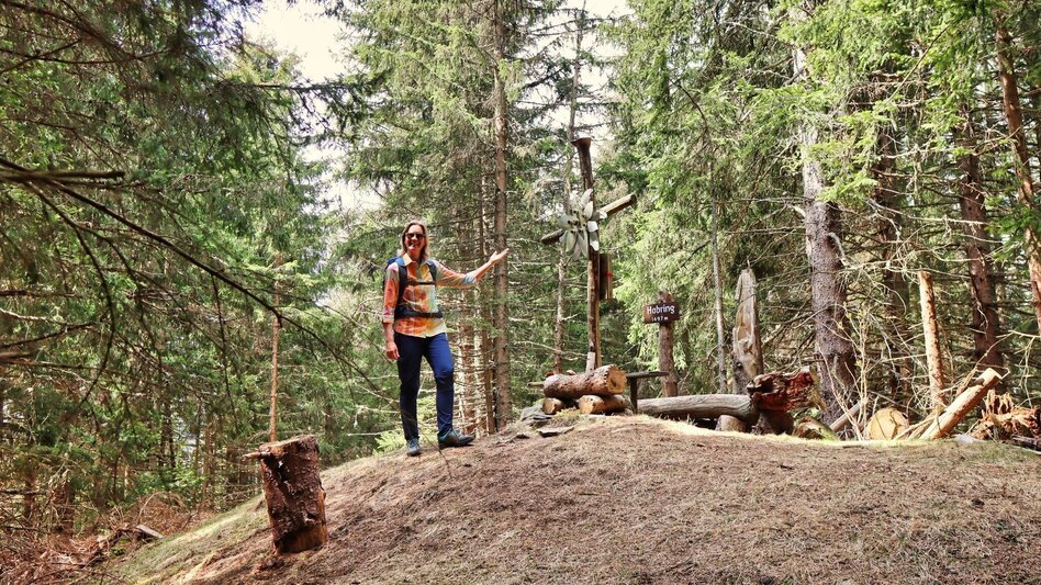 Hiking Route Habring via Nußmoaralm - Touren-Impression #2.13 | © Weges OG