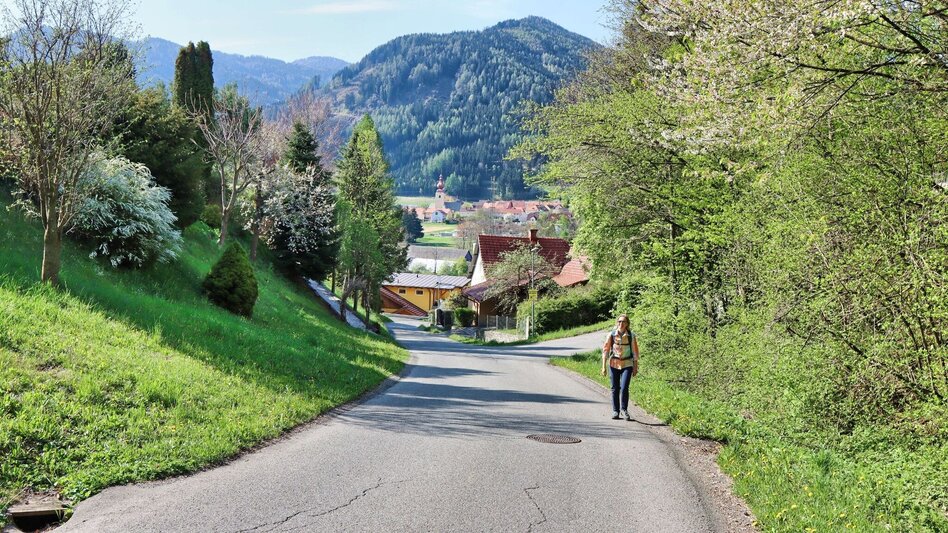 Wanderung Gerschkogel - Touren-Impression #2.1 | © Weges OG