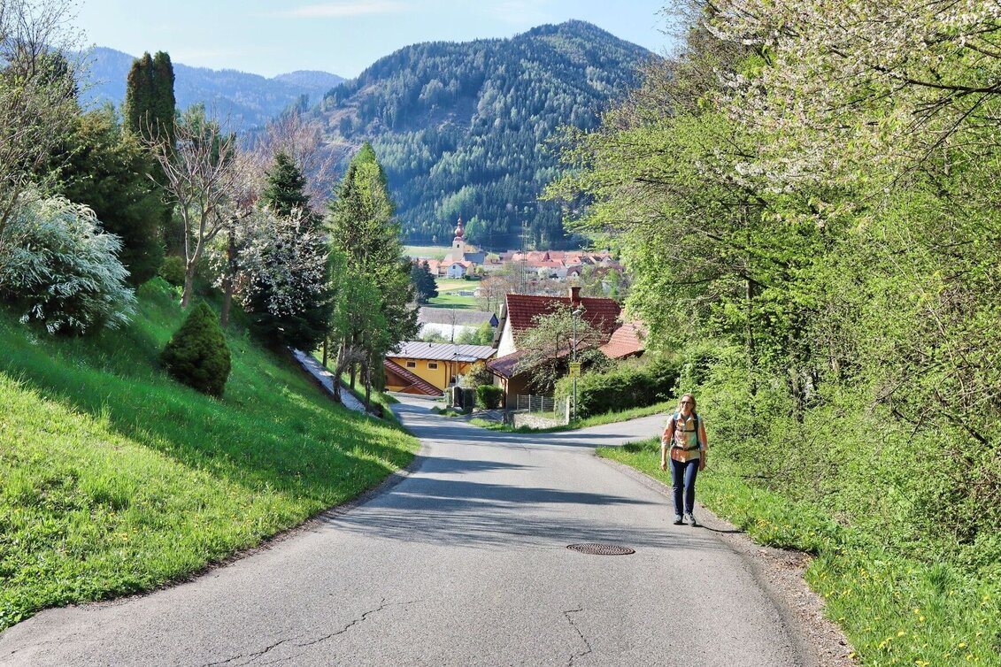 Wanderung Gerschkogel - Touren-Impression #1 | © Weges OG