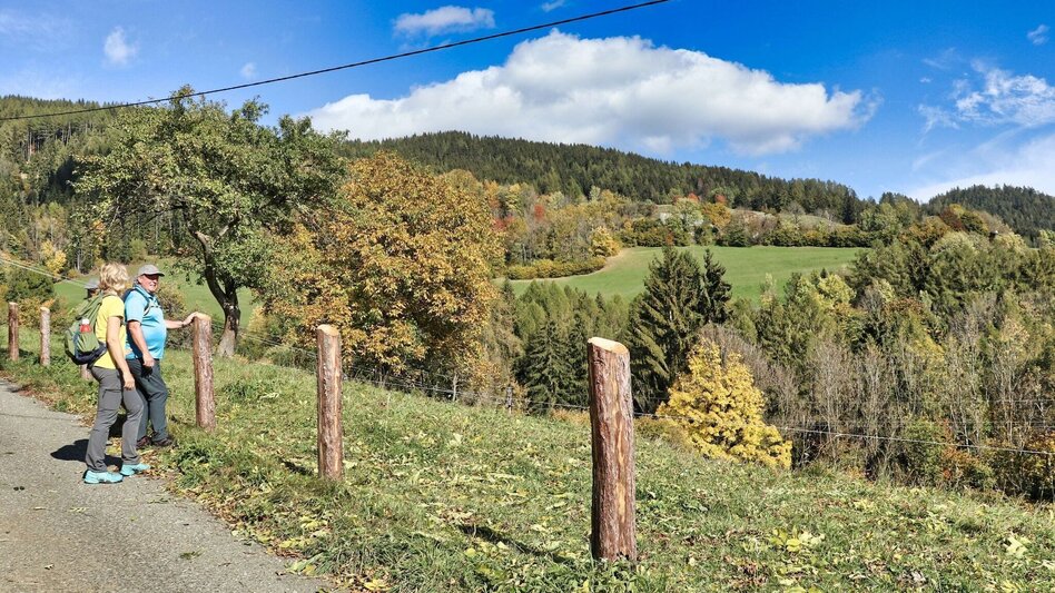 Wanderung Gerschkogel - Touren-Impression #2.4 | © Weges OG