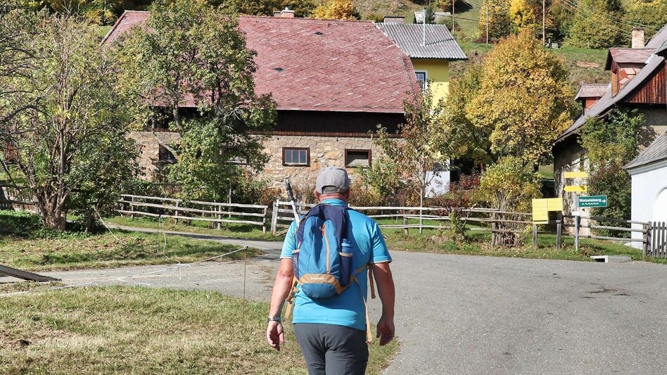 Wanderung Gerschkogel - Touren-Impression #2.5 | © Weges OG