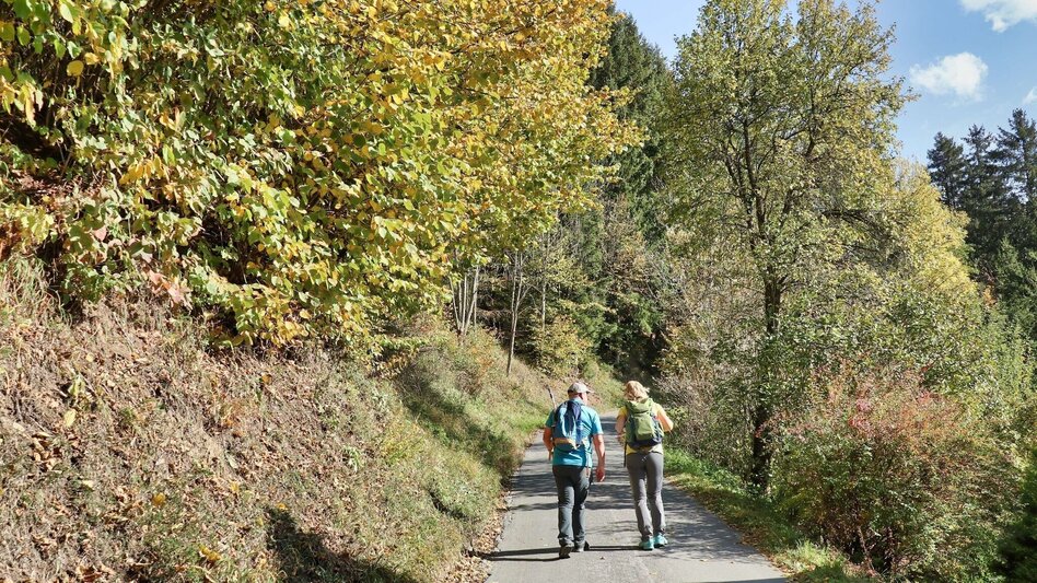 Wanderung Gerschkogel - Touren-Impression #2.8 | © Weges OG