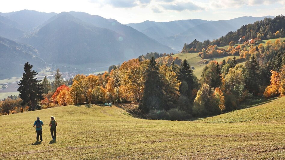 Wanderung Gerschkogel - Touren-Impression #2.10 | © Weges OG