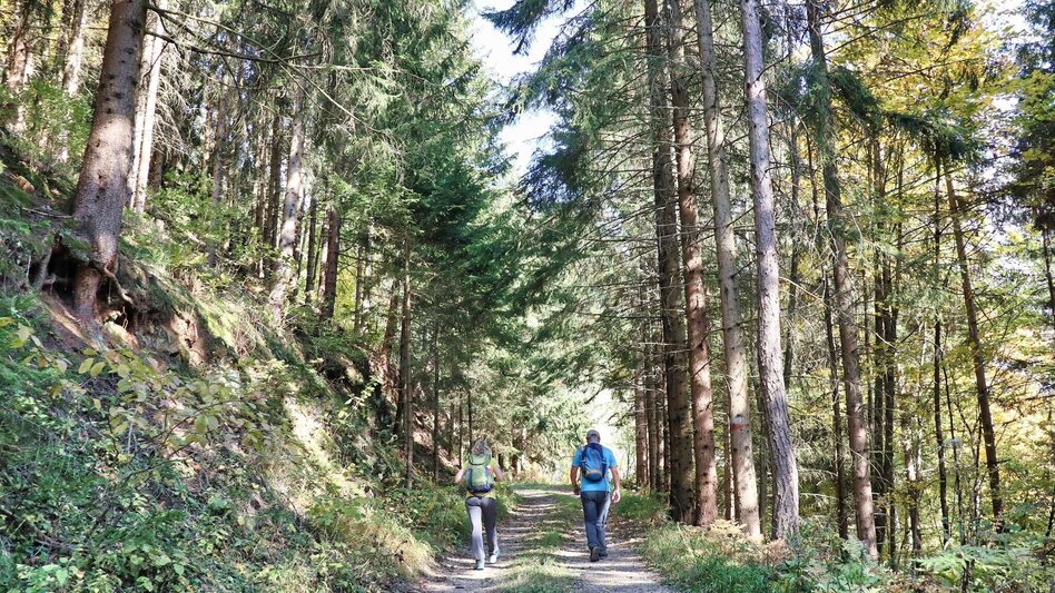 Wanderung Gerschkogel - Touren-Impression #2.12 | © Weges OG