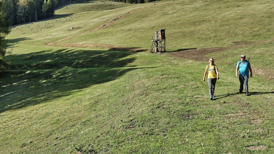 Wanderung Gerschkogel - Touren-Impression #2.13 | © Weges OG