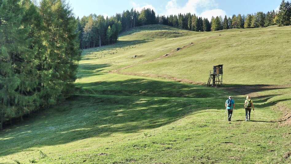 Wanderung Gerschkogel - Touren-Impression #2.16 | © Weges OG
