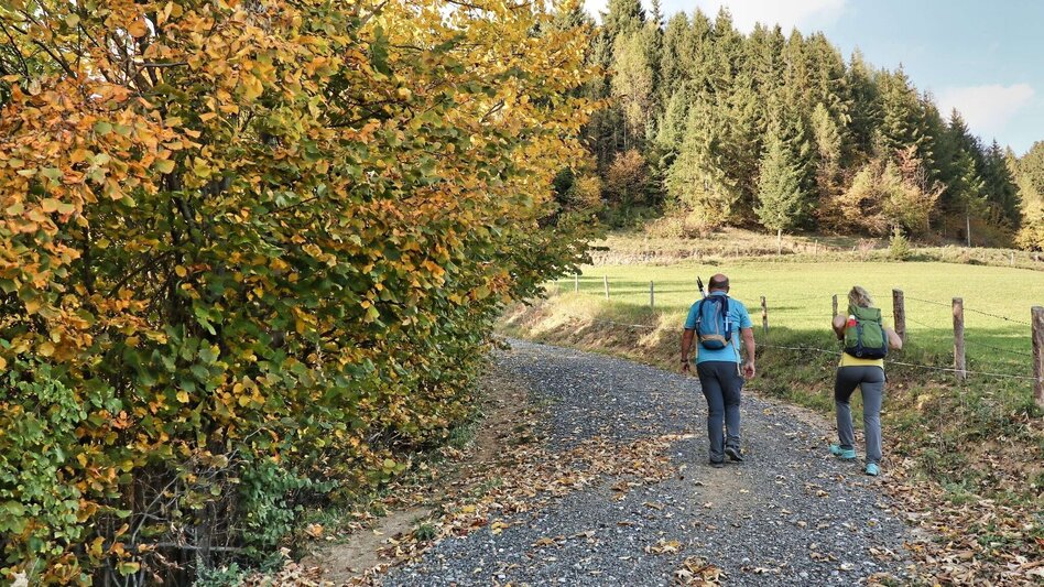 Wanderung Rauchstubenweg St. Georgen ob Judenburg - Touren-Impression #2.1 | © Weges OG