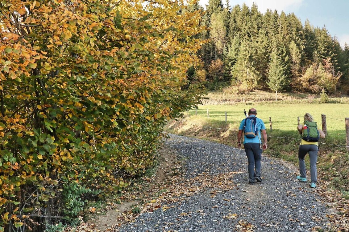 Wanderung Rauchstubenweg St. Georgen ob Judenburg - Touren-Impression #1 | © Weges OG