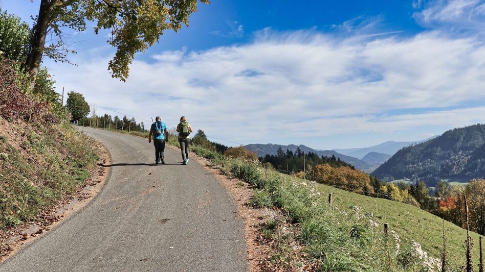Wanderung Rauchstubenweg St. Georgen ob Judenburg - Touren-Impression #2.2 | © Weges OG