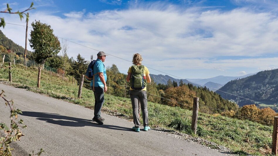 Wanderung Rauchstubenweg St. Georgen ob Judenburg - Touren-Impression #2.3 | © Weges OG
