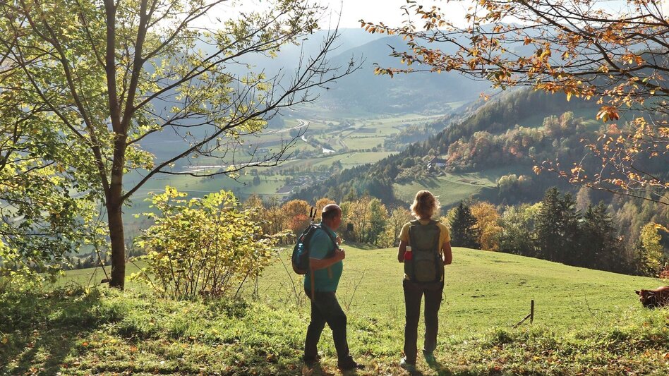Wanderung Rauchstubenweg St. Georgen ob Judenburg - Touren-Impression #2.8 | © Weges OG