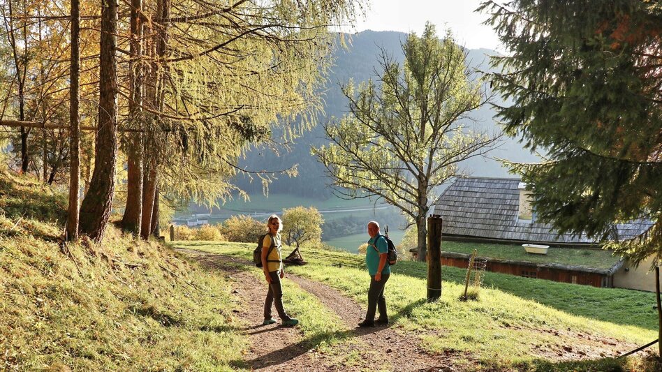 Wanderung Rauchstubenweg St. Georgen ob Judenburg - Touren-Impression #2.9 | © Weges OG