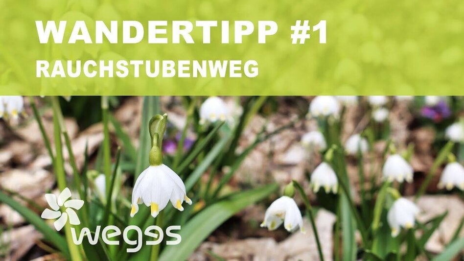 Wanderung Rauchstubenweg St. Georgen ob Judenburg - Touren-Impression #2.14 | © wegesaktiv