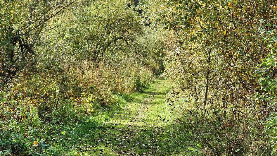 Wasserweg Mur-Auenweg nach Wöll - Touren-Impression #2.12 | © Weges OG