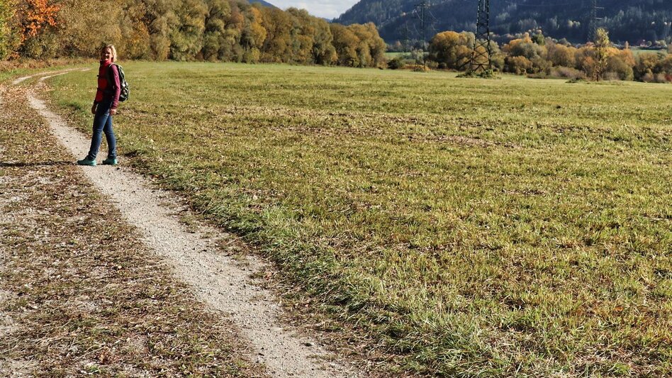 Wasserweg Mur-Auenrunde über Edling - Touren-Impression #2.2 | © Weges OG