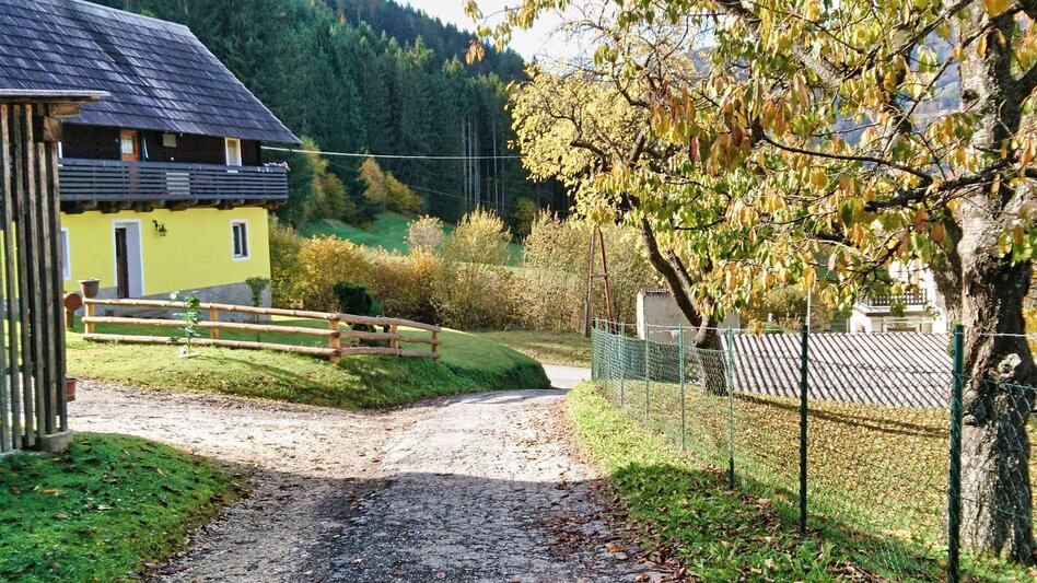 Wasserweg Mur-Auenrunde über Edling - Touren-Impression #2.9 | © Weges OG