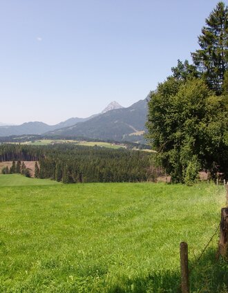 Lengdorf Waldrunde Panorama | Schladming Dachstein - TVB Gröbminger Land | © Erlebnisregion Schladming-Dachstein