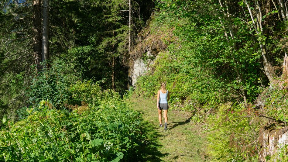 Nordic Walking Lengdorf Waldrunde  (SM1) - Touren-Impression #2.1 | © Erlebnisregion Schladming-Dachstein