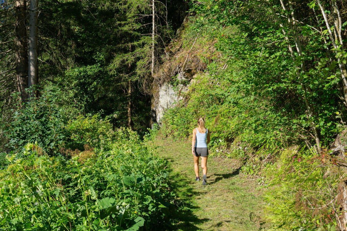 Nordic Walking Lengdorf Waldrunde  (SM1) - Touren-Impression #1 | © Erlebnisregion Schladming-Dachstein