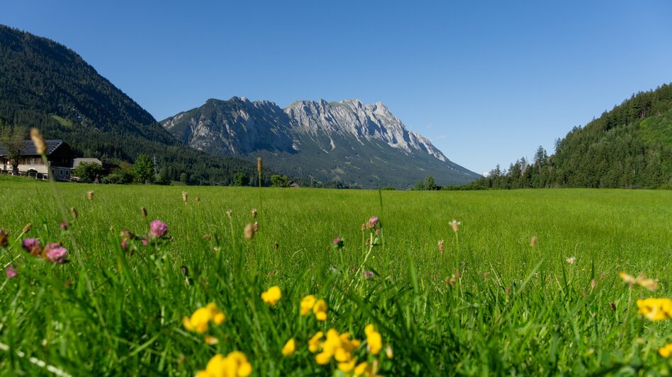 Nordic Walking Lengdorf Waldrunde  (SM1) - Touren-Impression #2.2 | © Erlebnisregion Schladming-Dachstein