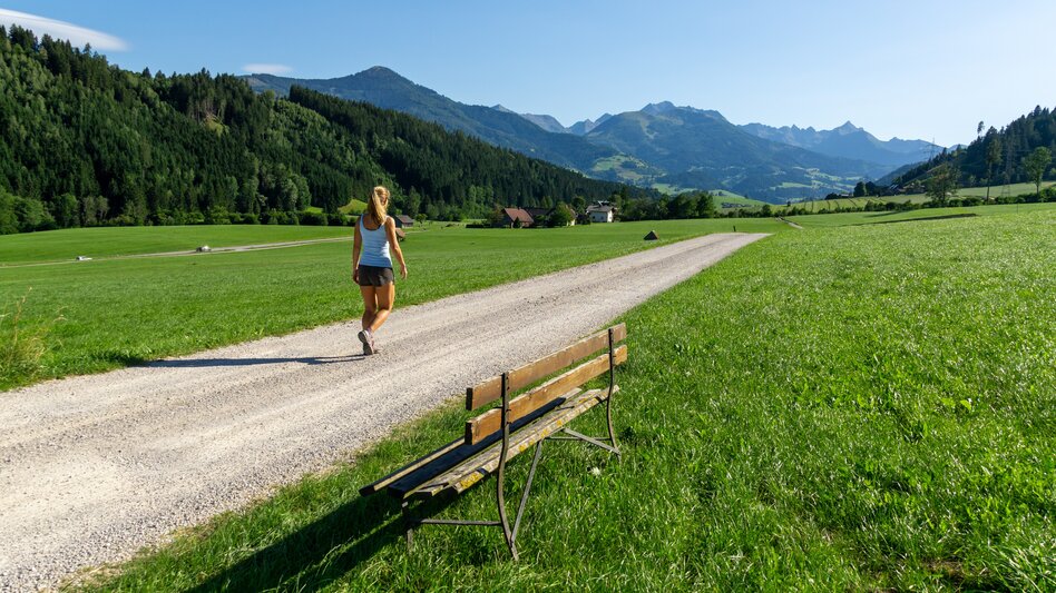 Nordic Walking Lengdorf Waldrunde  (SM1) - Touren-Impression #2.6 | © Erlebnisregion Schladming-Dachstein