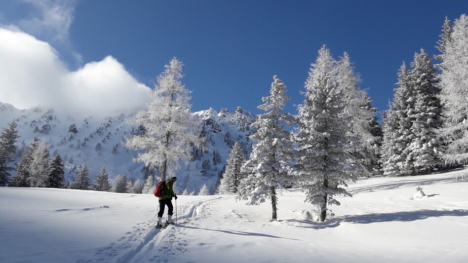 Skitour Skitour - Sonntagskogel, auch von Montag bis Samstag eine lässige Tour! - Touren-Impression #2.2 | © Erlebnisregion Murtal