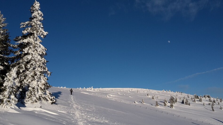 Ski Touring From Rettenegg to the Stuhleck, Rettenegg - Touren-Impression #2.4 | © Gemeinde Rettenegg