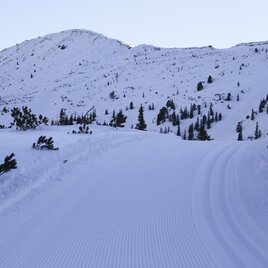 Planneralm Höhenloipe ganz frisch am Morgen. | © Erlebnisregion Schladming-Dachstein
