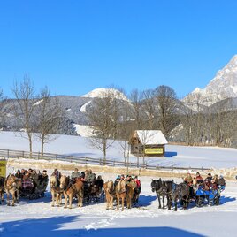 horse-drawn-sleighs at the trail head for snowshoeing & horse-drawn-sleigh rides in Rohrmoos | © Tourismusverband Schladming - Martin Huber