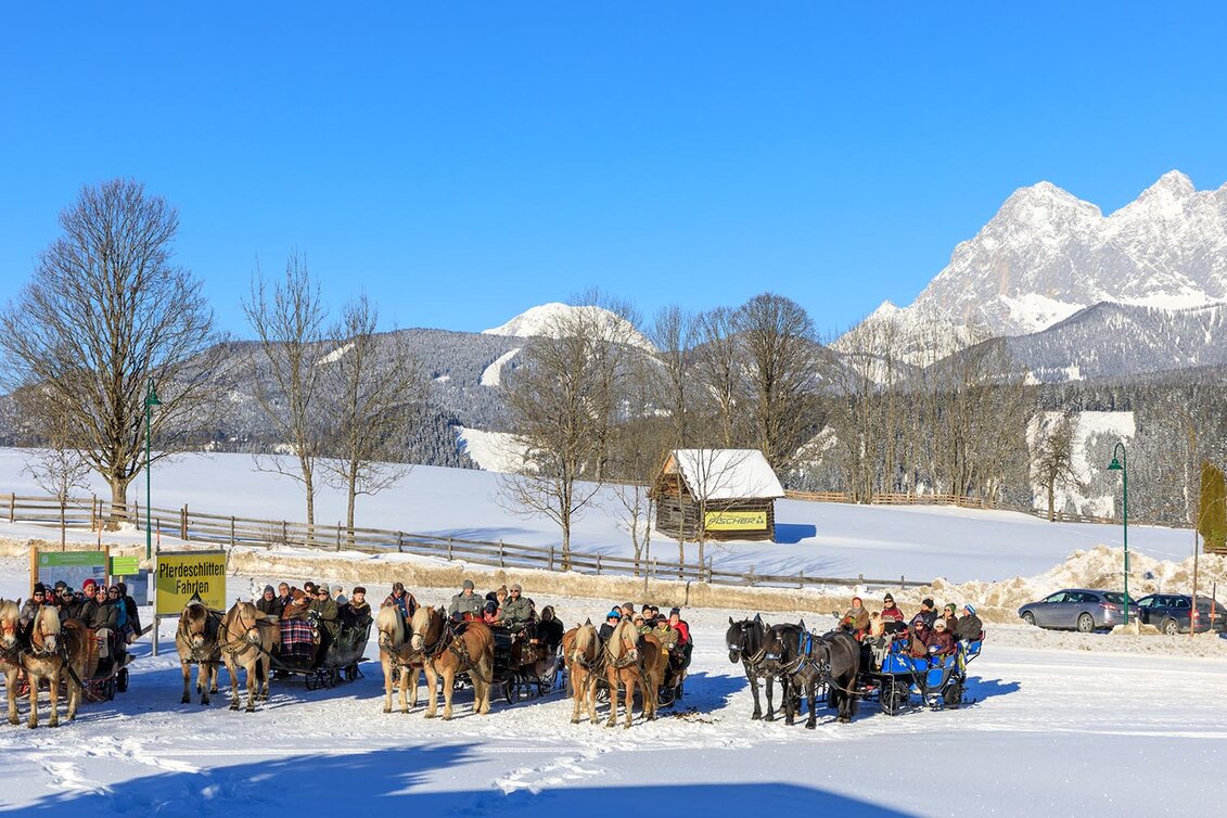 Pferdeschlitten Hofrunde Rohrmoos - Touren-Impression #1 | © Tourismusverband Schladming - Martin Huber