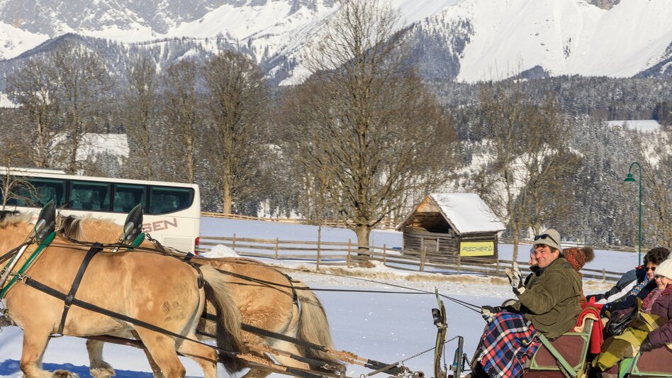 Pferdeschlitten Hofrunde Rohrmoos - Touren-Impression #2.4 | © Erlebnisregion Schladming-Dachstein