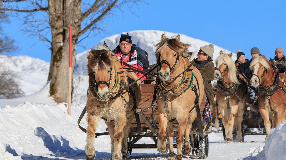 Pferdeschlitten Große Tälerfahrt ins Untertal - Touren-Impression #2.2 | © Tourismusverband Schladming - Martin Huber