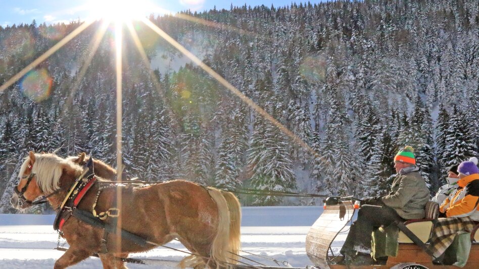 Pferdeschlitten Pferdeschlittentour Oberhorner-Halseralm - Touren-Impression #2.1 | © TVB Schladming