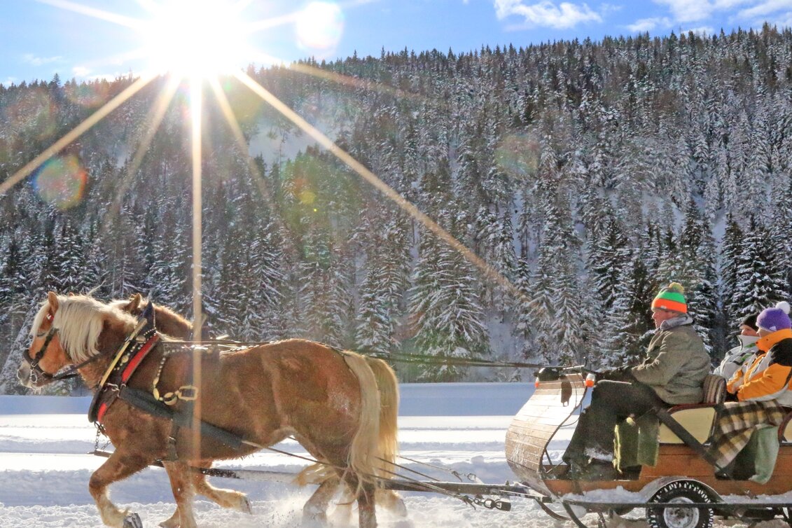 Pferdeschlitten Pferdeschlittentour Oberhorner-Halseralm - Touren-Impression #1 | © TVB Schladming