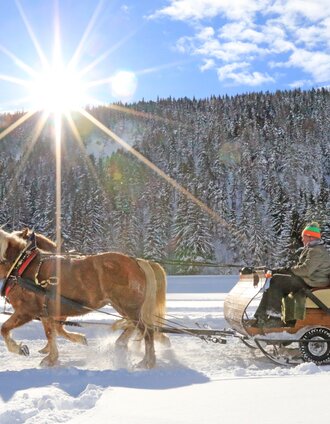 Winter sun, winterwonderland and a horse-drawn sleigh | Michael Simonlehner | © TVB Schladming