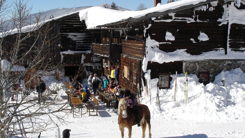 Pferdeschlitten Pferdeschlittentour Oberhorner-Halseralm - Touren-Impression #2.4 | © TVB Schladming