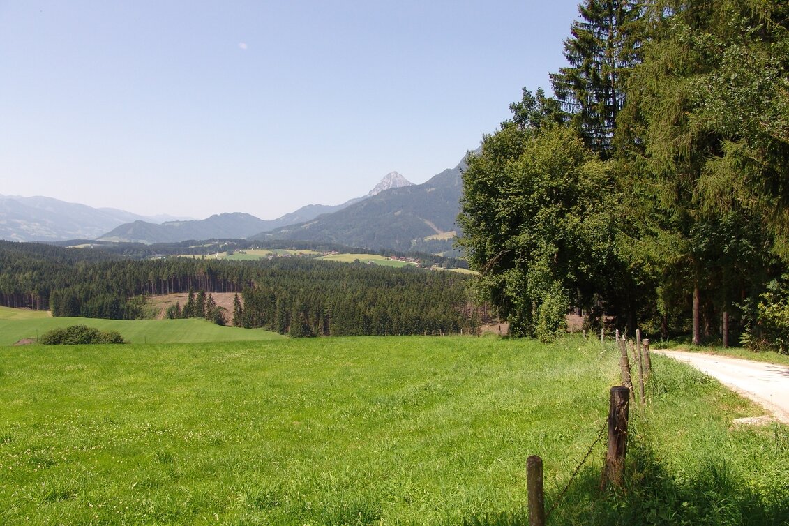 Nordic Walking Gersdorfer Runde (M2) - Touren-Impression #1 | © Erlebnisregion Schladming-Dachstein