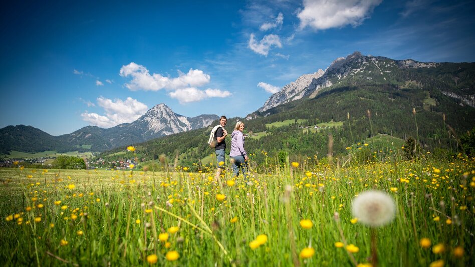 Nordic Walking Zirtinger Runde (M 3) - Touren-Impression #2.1 | © Tourismusverband Schladming-Dachstein