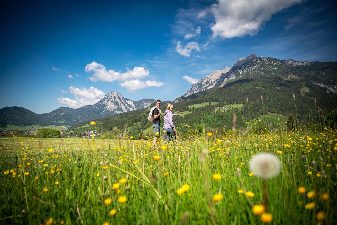 Nordic Walking Zirtinger Runde (M 3) - Touren-Impression #1 | © Tourismusverband Schladming-Dachstein