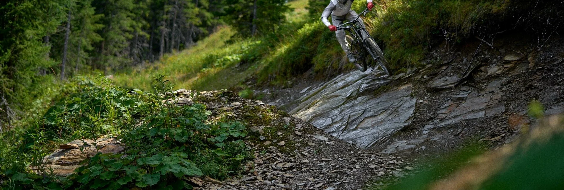 Mountainbike Pro Downhill | 403 - Touren-Impression #1 | © Erlebnisregion Schladming-Dachstein
