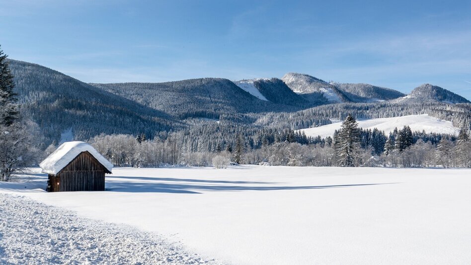 Winterwandern Tour de Kur - Winter pur - Touren-Impression #2.2 | © Tourismusverband Ausseerland Salzkammergut