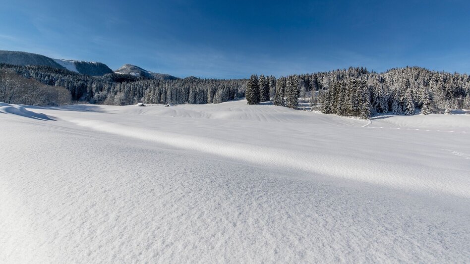 Winterwandern Tour de Kur - Winter pur - Touren-Impression #2.4 | © TVB Ausseerland - Salzkammergut/T. Lamm