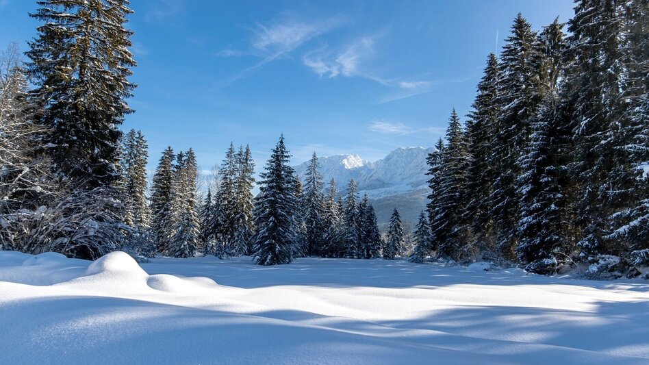 Winterwandern Tour de Kur - Winter pur - Touren-Impression #2.5 | © Tourismusverband Ausseerland Salzkammergut
