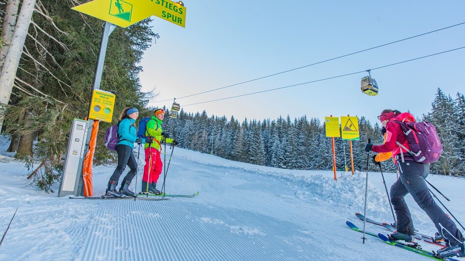 Skitour Skitour Hochwurzen - Touren-Impression #2.7 | © Planai