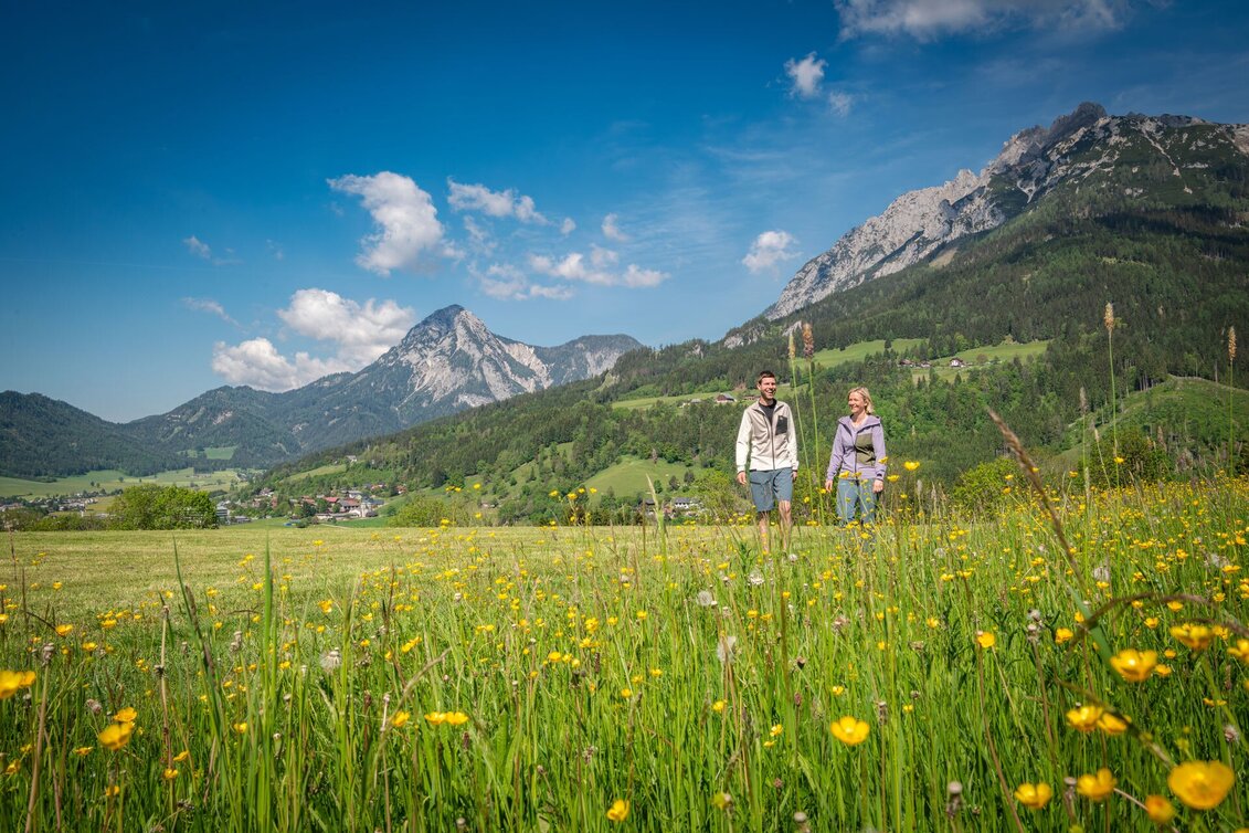 Nordic Walking Dorfrunde (M 6) - Touren-Impression #1 | © Tourismusverband Schladming-Dachstein