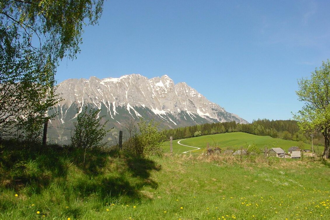 Nordic Walking Eichleitenrunde (M 7) - Touren-Impression #1 | © Erlebnisregion Schladming-Dachstein