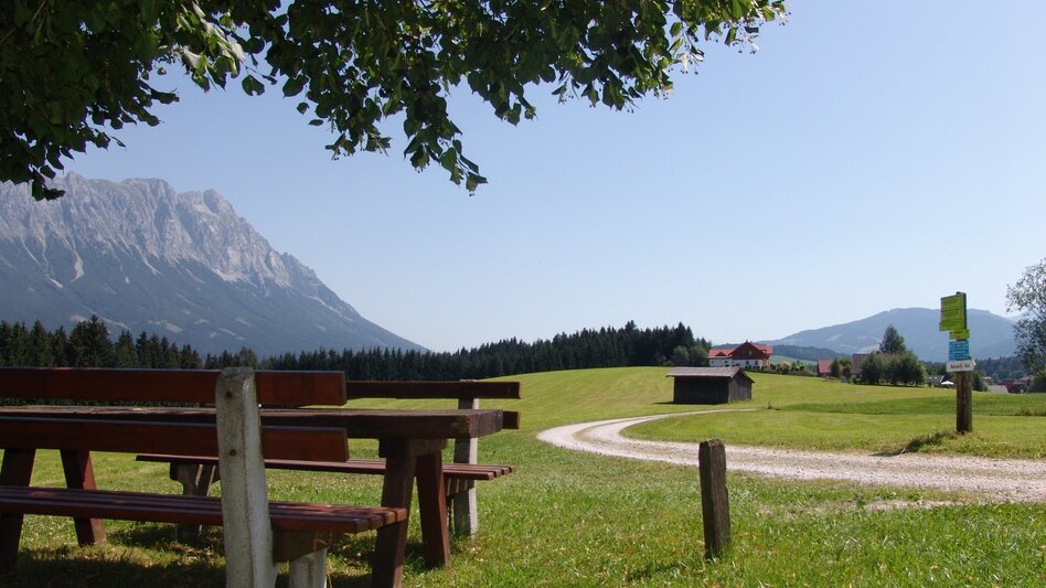 Nordic Walking Bewegungsarena - Panoramarunde (M 5) - Touren-Impression #2.4 | © Erlebnisregion Schladming-Dachstein